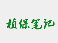 秋季管理枸杞重心是啥？